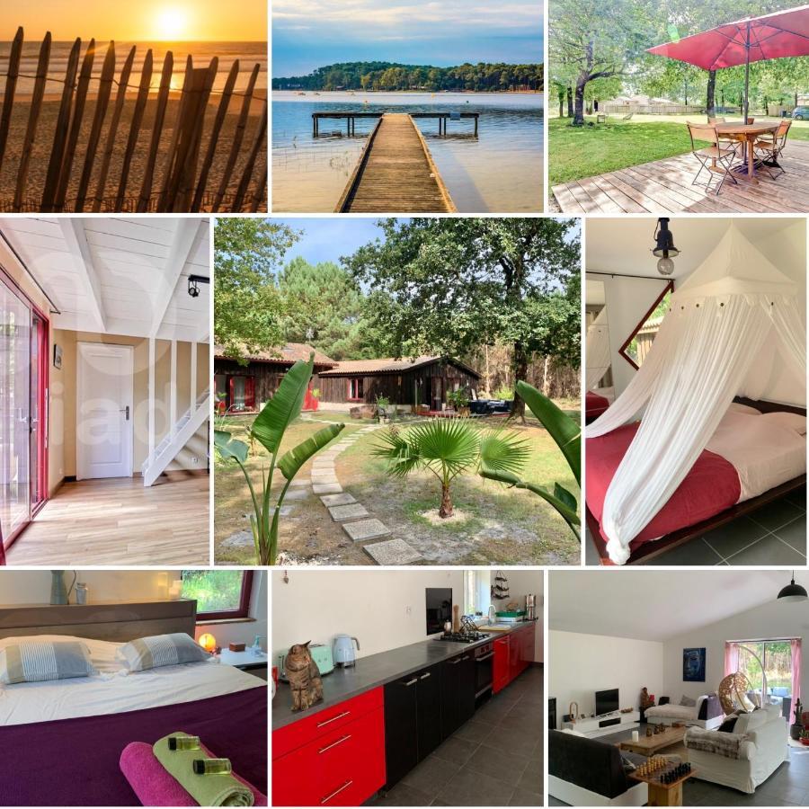 Hacienda De La Canopee Avec Piscine Chauffee Au Sel Hourtin Exterior foto